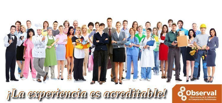 observal acredita experiencia